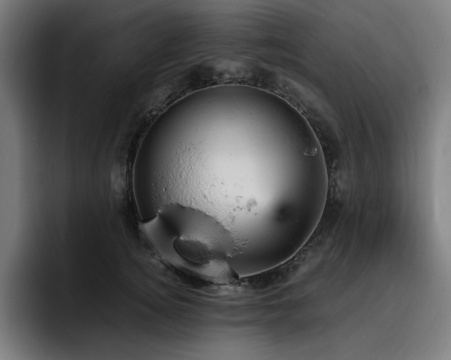 X0000093430756200710121201