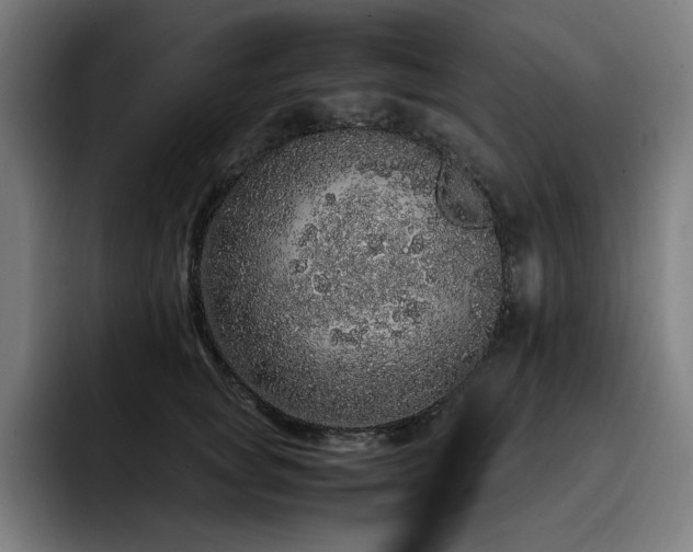 X0000093430757200710121201