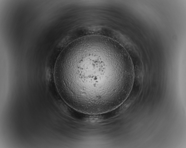 X0000093430758200710121201