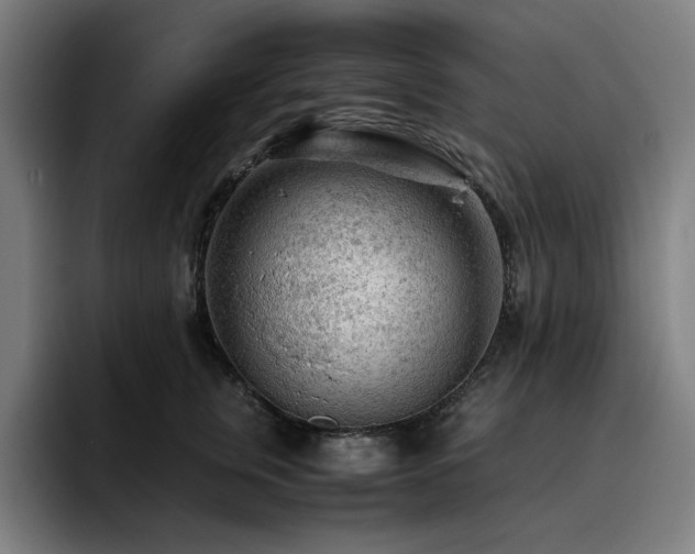 X0000093430759200710121201