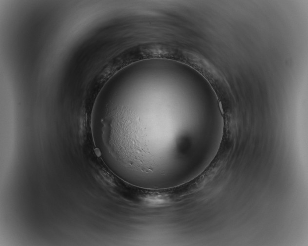 X0000093430760200710121201