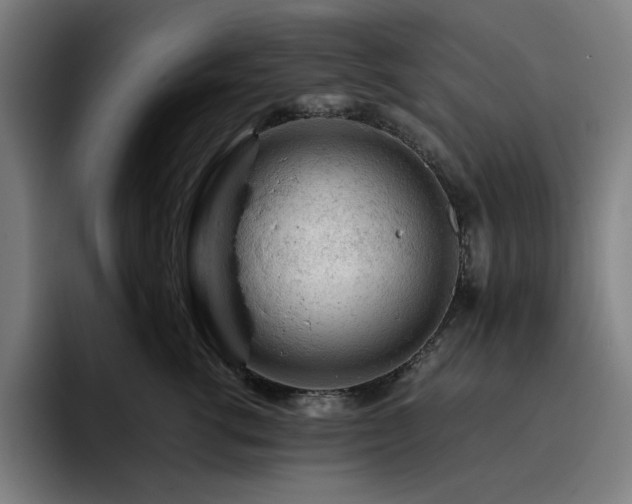 X0000093430762200710121201
