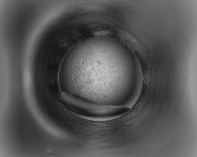 X0000093430763200710121201