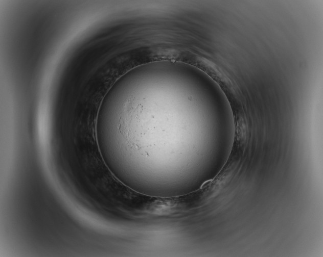 X0000093430764200710121201