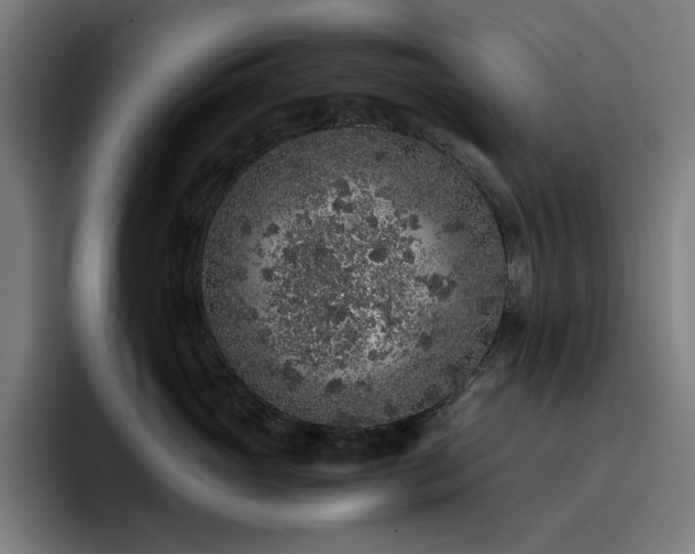 X0000093430765200710121201