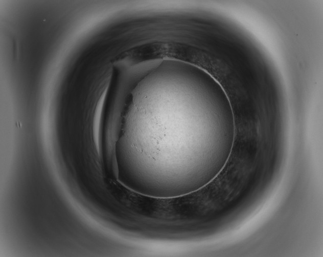 X0000093430766200710121201