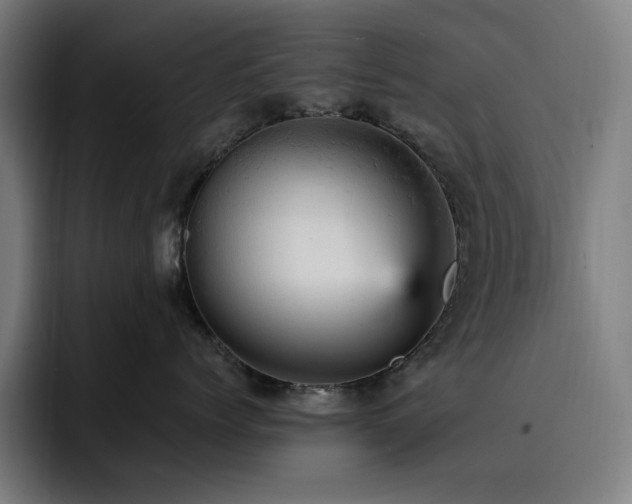 X0000093430768200710121202