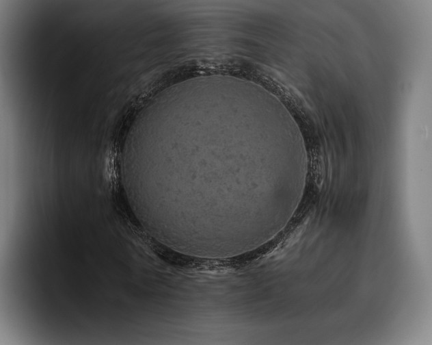 X0000093430770200710121201