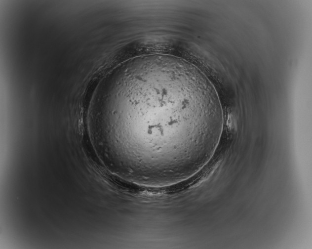 X0000093430771200710121201