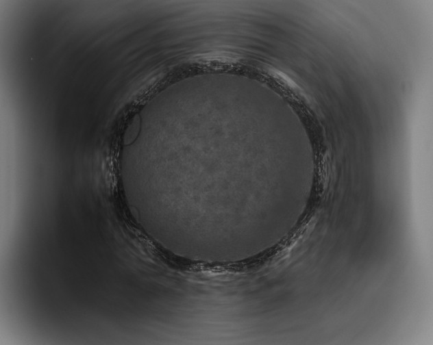 X0000093430774200710121201