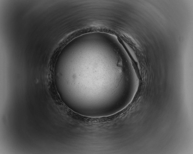 X0000093430776200710121201
