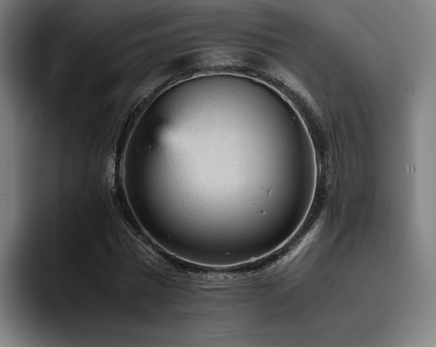 X0000093430777200710121201