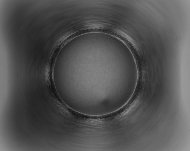 X0000093430778200710121201