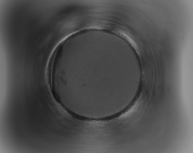 X0000093430779200710121201