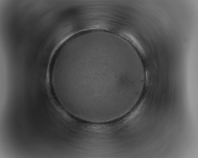 X0000093430780200710121201