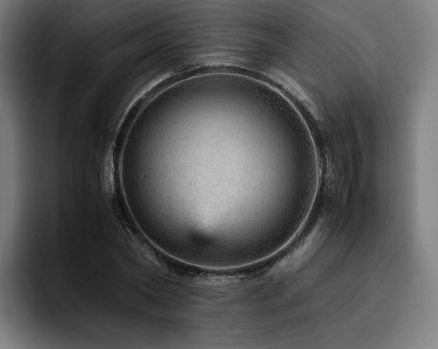 X0000093430782200710121201
