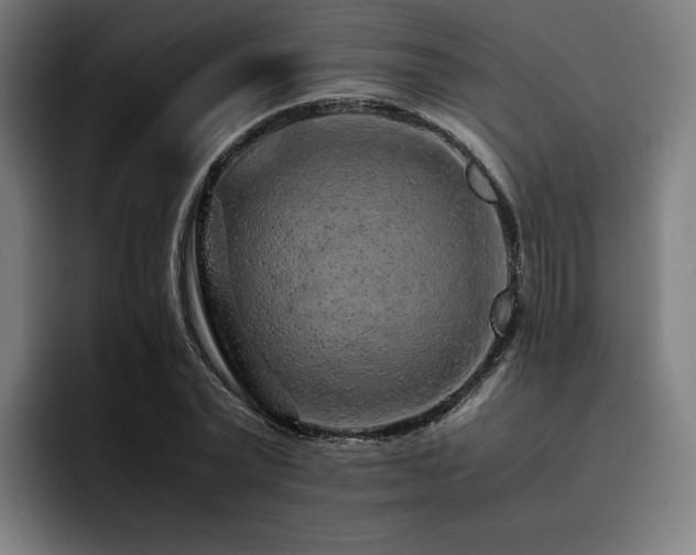 X0000093430783200710121201
