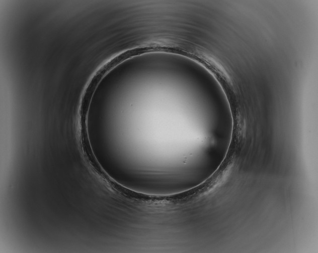 X0000093430784200710121201