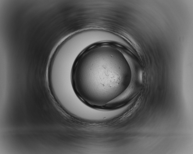 X0000093430788200710121201