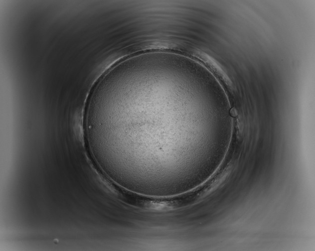 X0000093430794200710121201