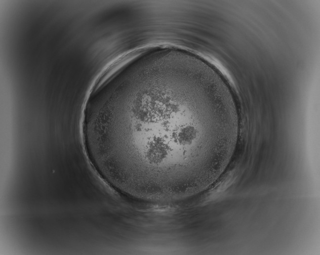 X0000093430799200710121201