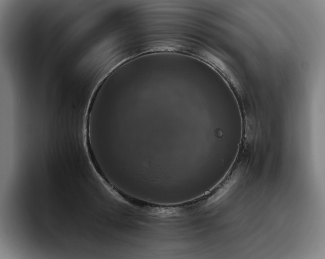 X0000093430802200710121201