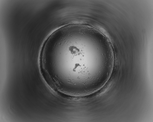 X0000093430803200710121201