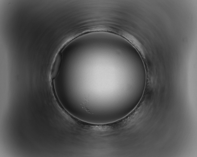 X0000093430805200710121201