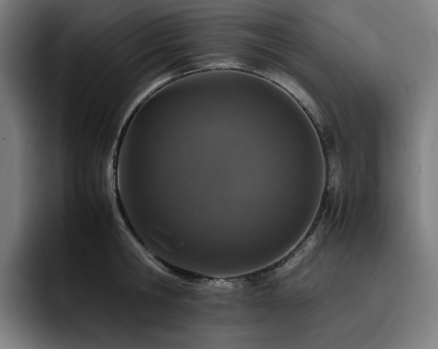 X0000093430806200710121201
