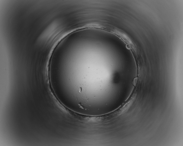 X0000093430808200710121200