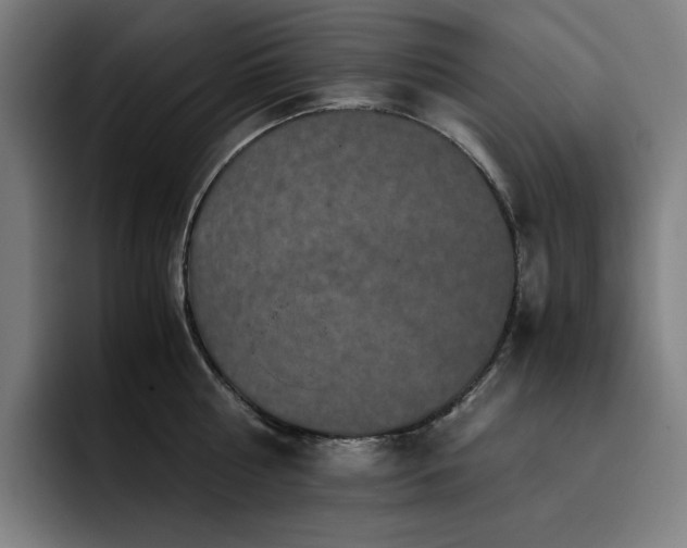 X0000093430810200710121200