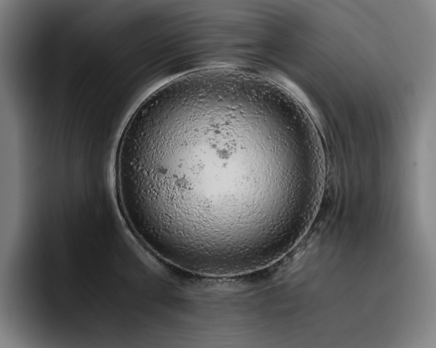 X0000093430811200710121200