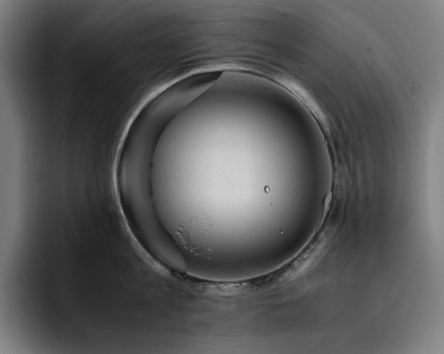 X0000093430813200710121200