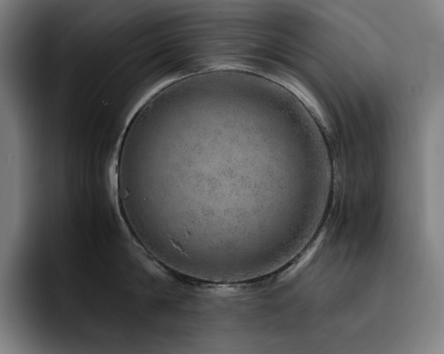 X0000093430814200710121200