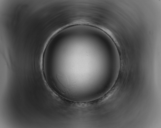 X0000093430815200710121200