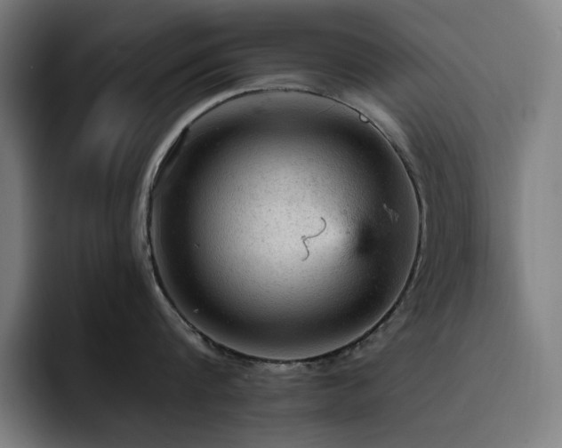 X0000093430816200710121200