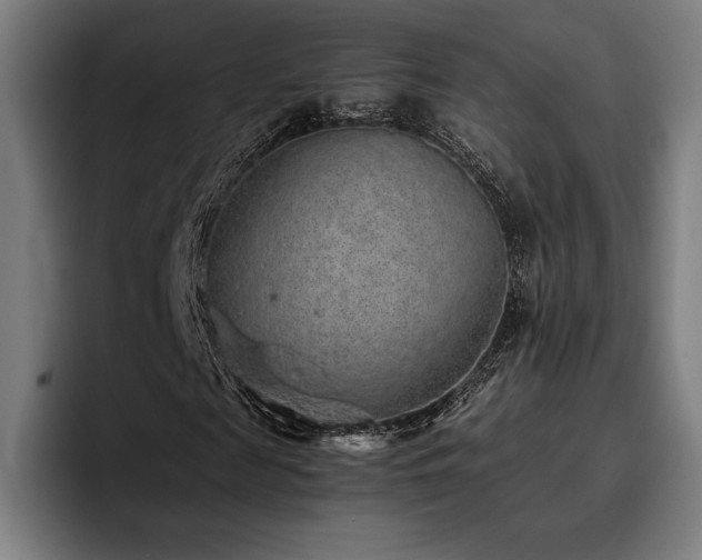 X0000093430817200710121200