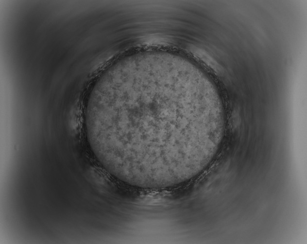 X0000093430824200710121200