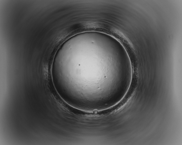 X0000093430825200710121200