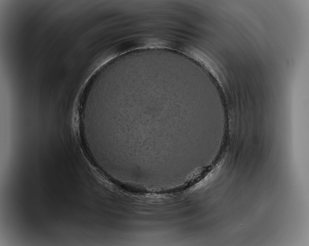 X0000093430827200710121200