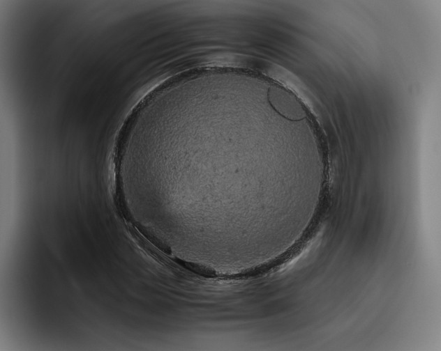 X0000093430829200710121200