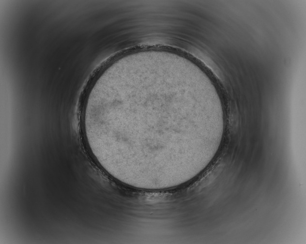 X0000093430832200710121200
