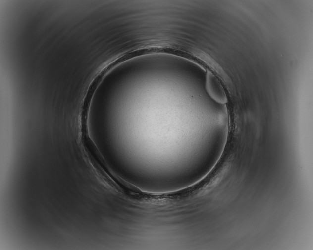 X0000093430834200710121200