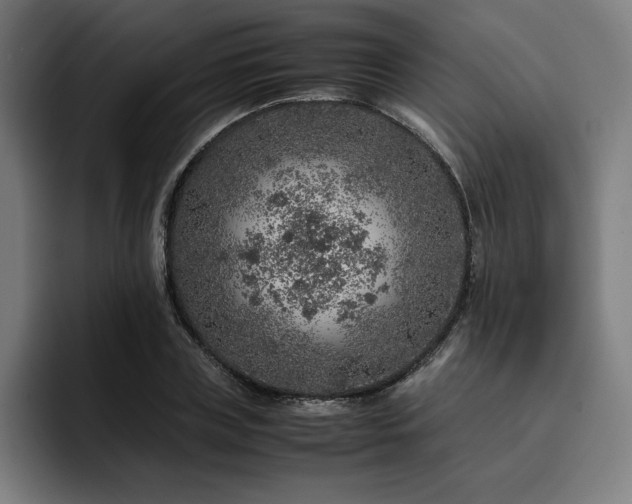 X0000093430835200710121200