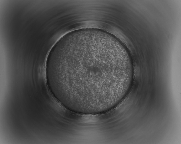 X0000093430836200710121200