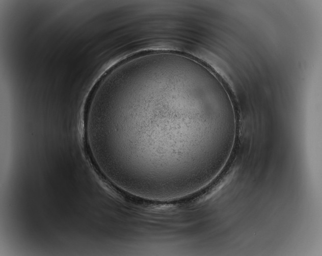 X0000093430837200710121200
