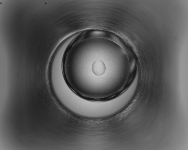 X0000093430838200710121200