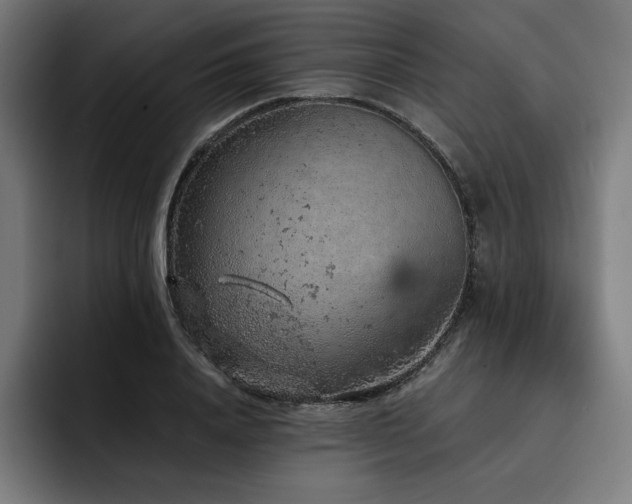 X0000093430840200710121200