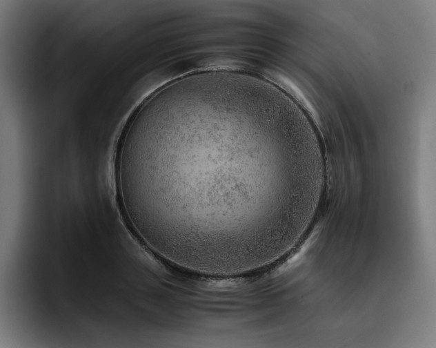 X0000093430843200710121200