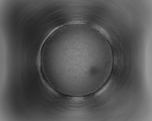 X0000093430844200710121200